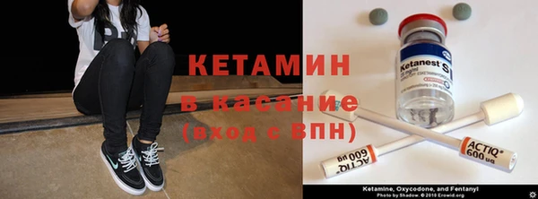 сатива Карталы