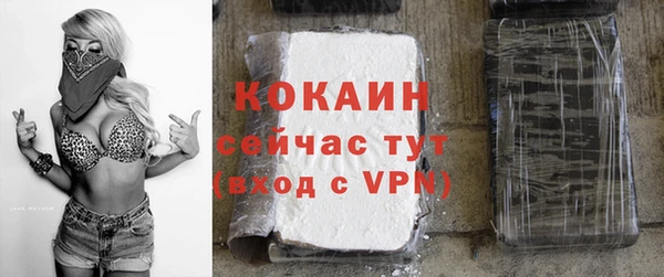 винт Карпинск