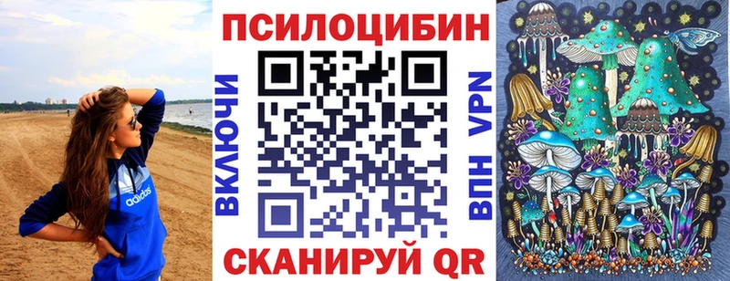 Псилоцибиновые грибы Psilocybe  Купить закладки  Артёмовск 