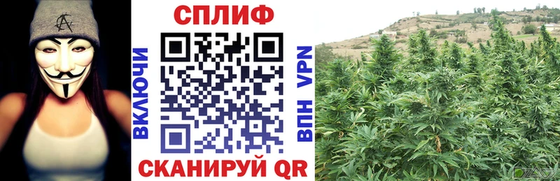 Конопля ГИДРОПОН  Купить закладки  Артёмовск 